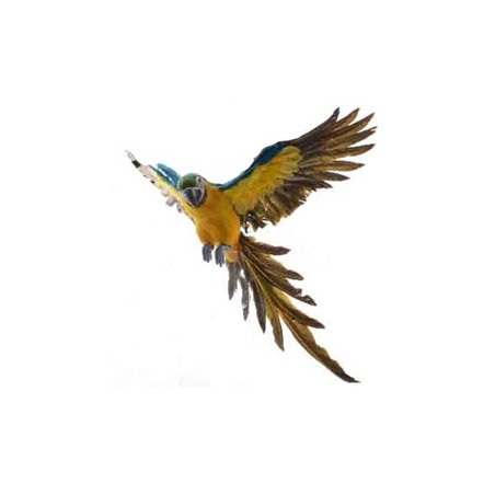 feather parrot flying 8x52x60 cms.Amarillo/azul