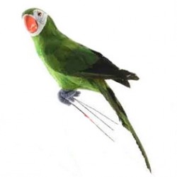 feather parrot on wire...