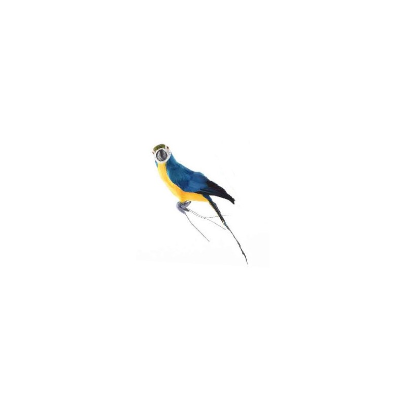 feather parrot on wire 5x11x34 cms.Azul/amarillo