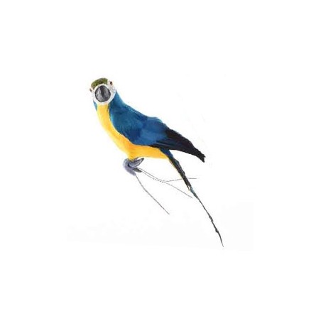 feather parrot on wire 5x11x34 cms.Azul/amarillo
